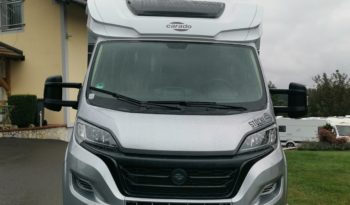 Carado/FIAT T338 voll